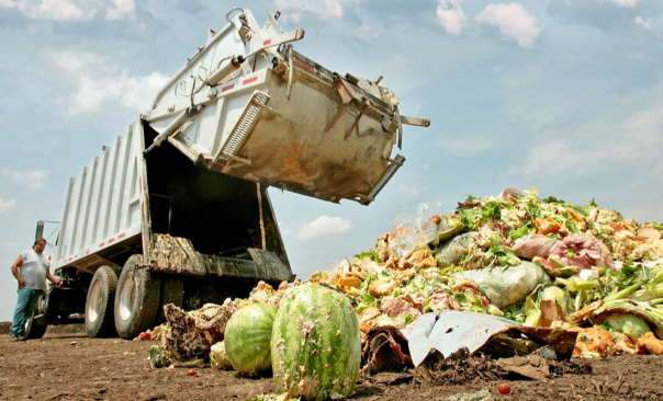 EU Report Targets Halving Food Loss And Waste By 2030 | Public Sector ...